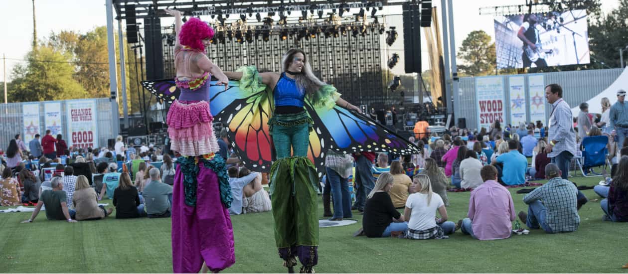 Festivals & Entertainment